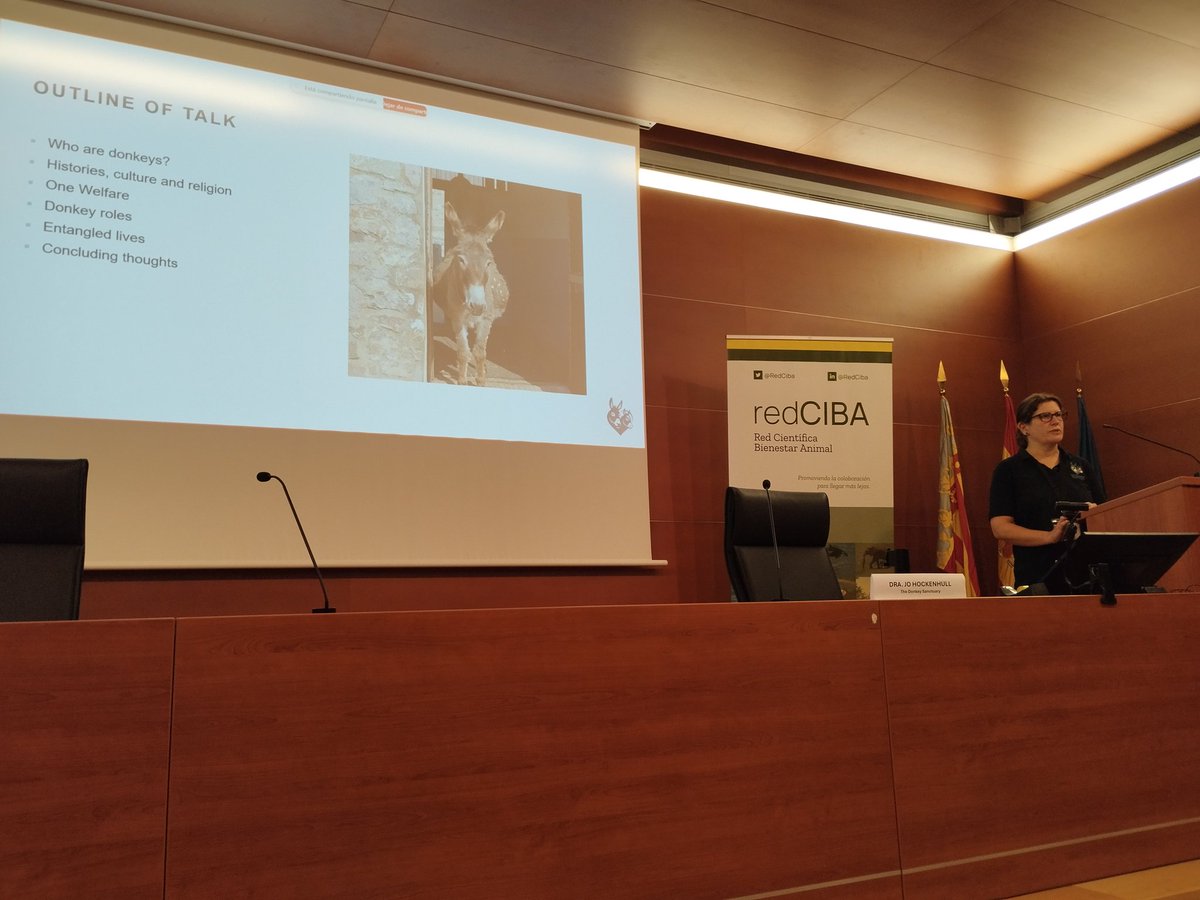 Red CIBA (@redciba) on Twitter photo El segundo día de las #JornadasRedCIBA empiezan con la charla de Joe Hockenhull del <a href="/DonkeySanctuary/">The Donkey Sanctuary</a> que nos habla del bienestar de los burros 🐴, una especie muchas veces olvidada en la investigación. El segundo día de las #JornadasRedCIBA empiezan con la charla de Joe Hockenhull del <a href="/DonkeySanctuary/">The Donkey Sanctuary</a> que nos habla del bienestar de los burros 🐴, una especie muchas veces olvidada en la investigación.