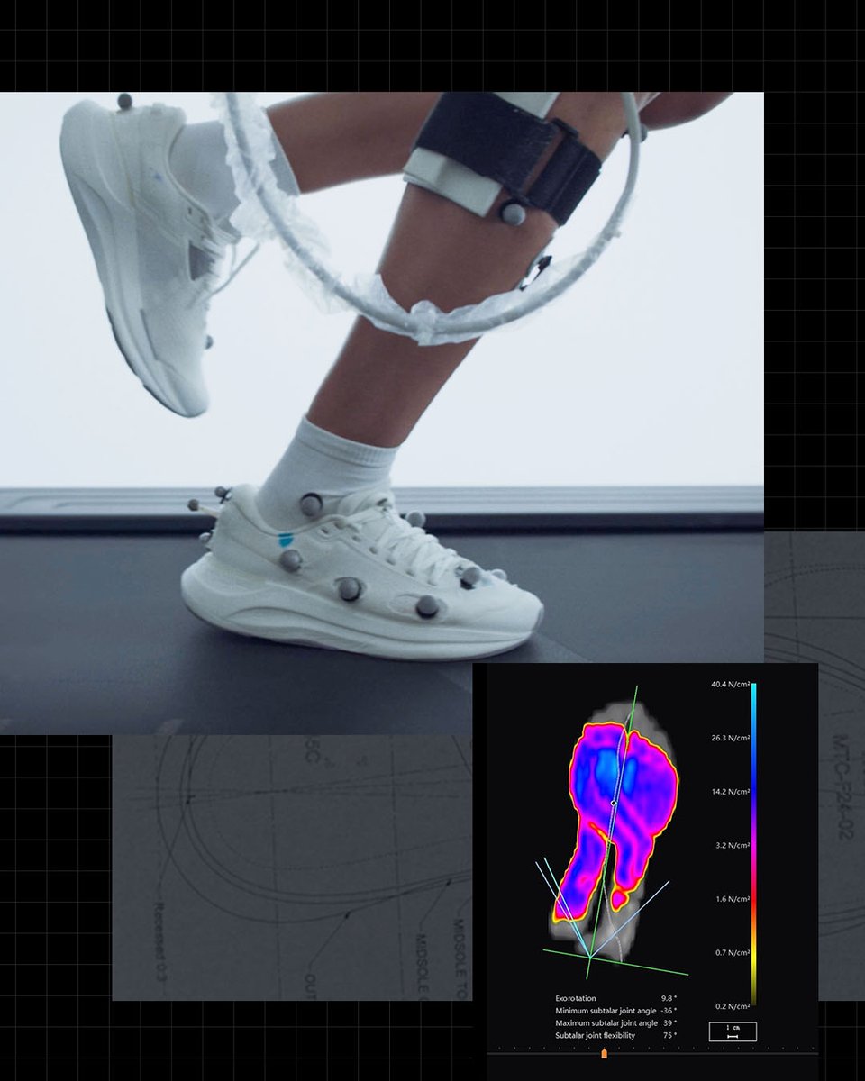 Mount to Coast tweet media