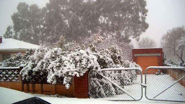 Brrrrr! Authorities on high alert as 'Snow storm' predicted to hit parts of SA this weekend dlvr.it/TDSfsN
