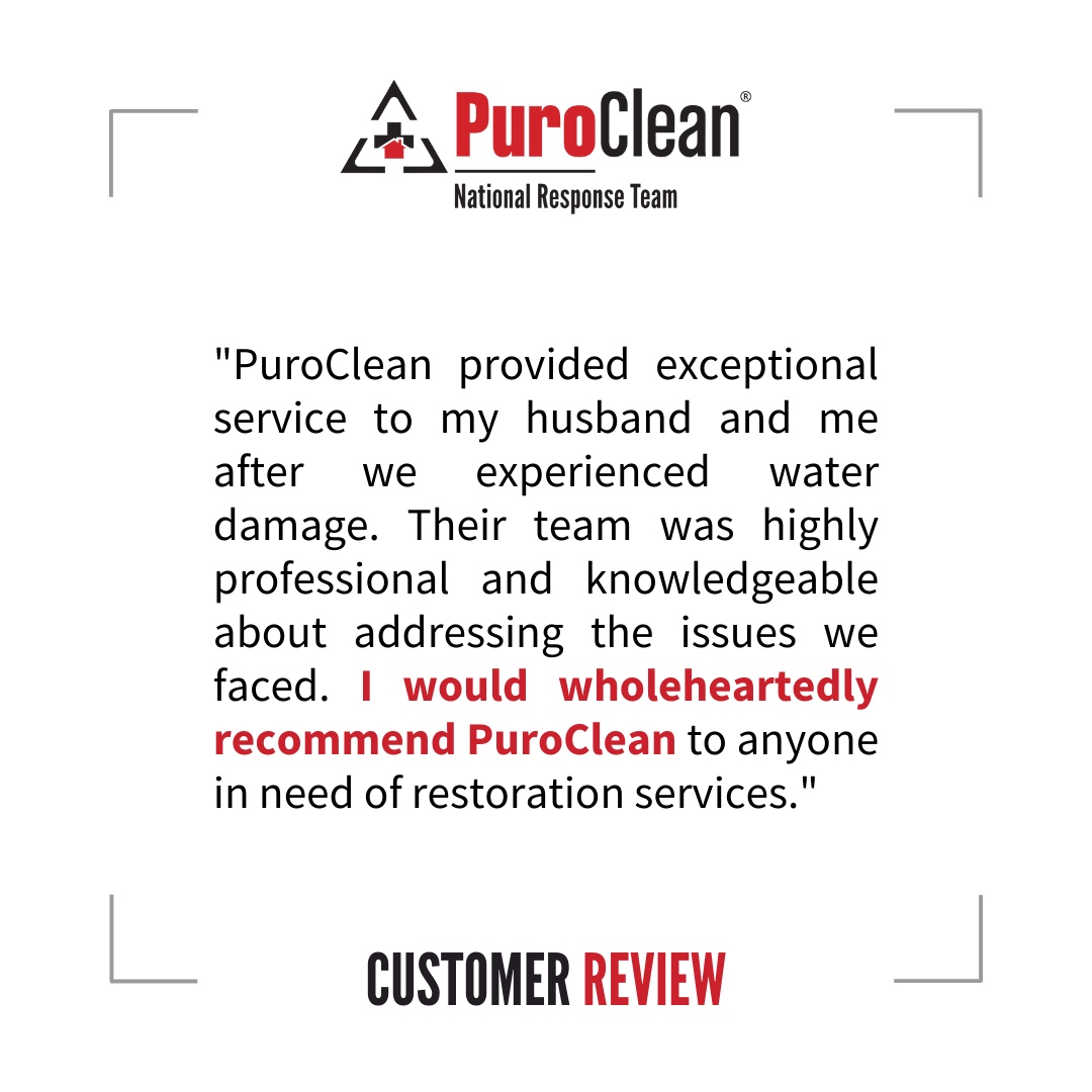 PuroCleanNTL's tweet image. Experience top-quality service and become a part of our happy customer community.

👉 Do you need our services? Contact us today!

✅ (248) 621-2300 
🌐 puroclean.com/bloomfield-hil…
✅ (517) 292-8700 
🌐 puroclean.com/howell-mi-puro…

#PuroCleanProud #TrustedRestorationExperts #ClientApp...