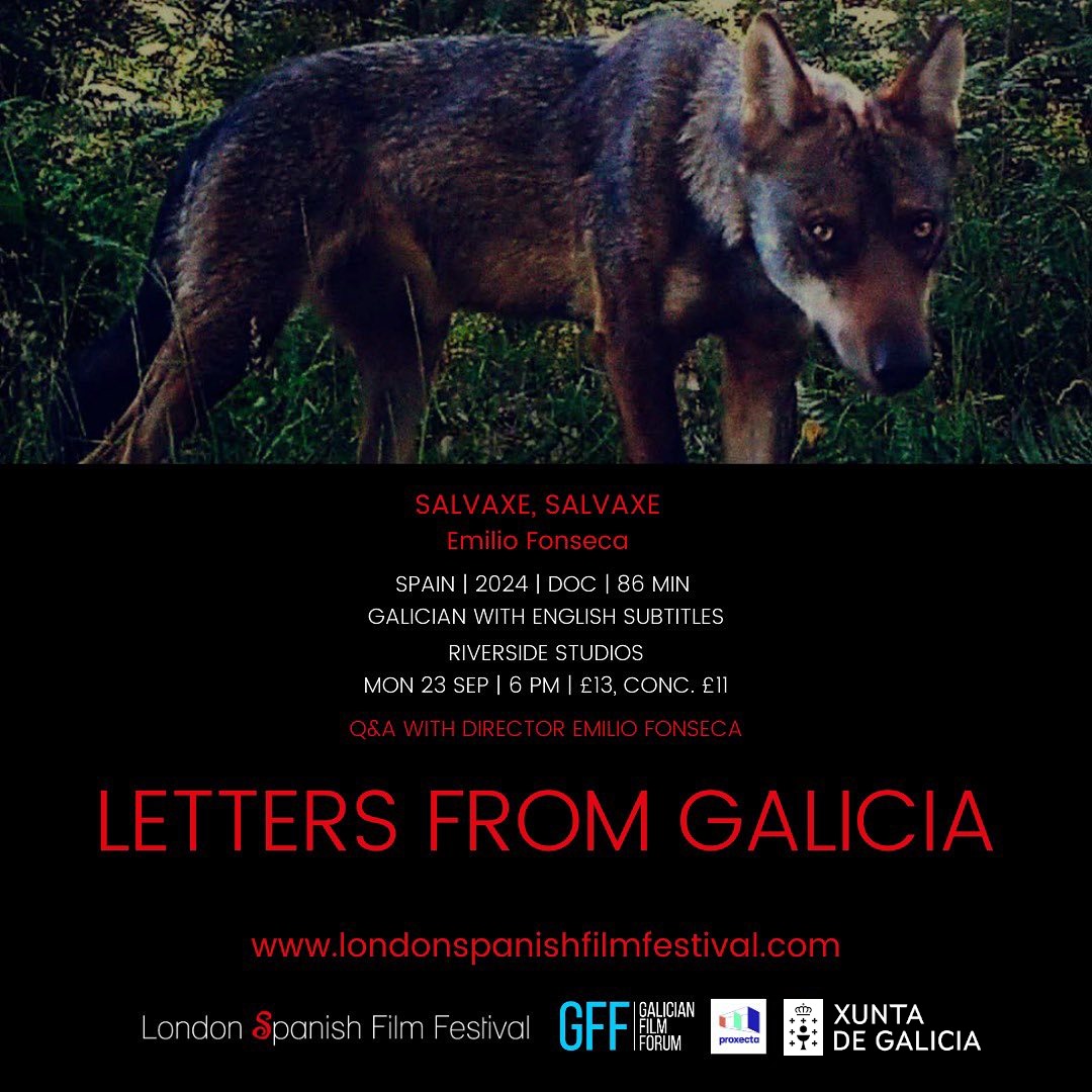 PROXECTA | Coordinadora Galega Festivais Cinema tweet media