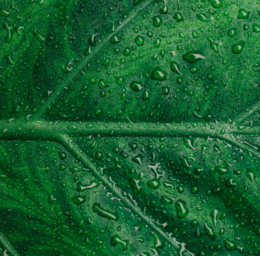 Gerencia Energética tweet media