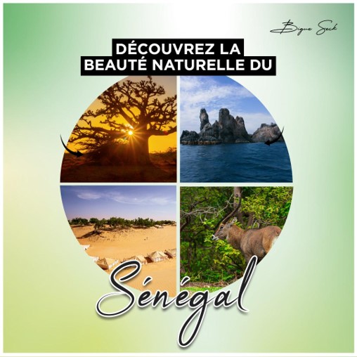 Le Sénégal, un pays aux mille paysages, plages, montagnes, faune, etc… On part en vacances

#TourismeSénégal #Voyage #BeautéNaturelle #Casamance #SineSaloum #PetiteCote #SenegalOriental #SaintLouis #Dakar