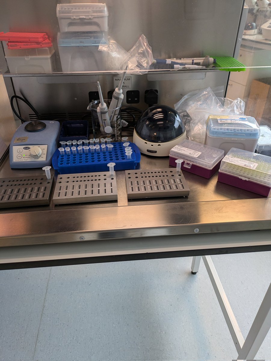 Christy Wray tweet media