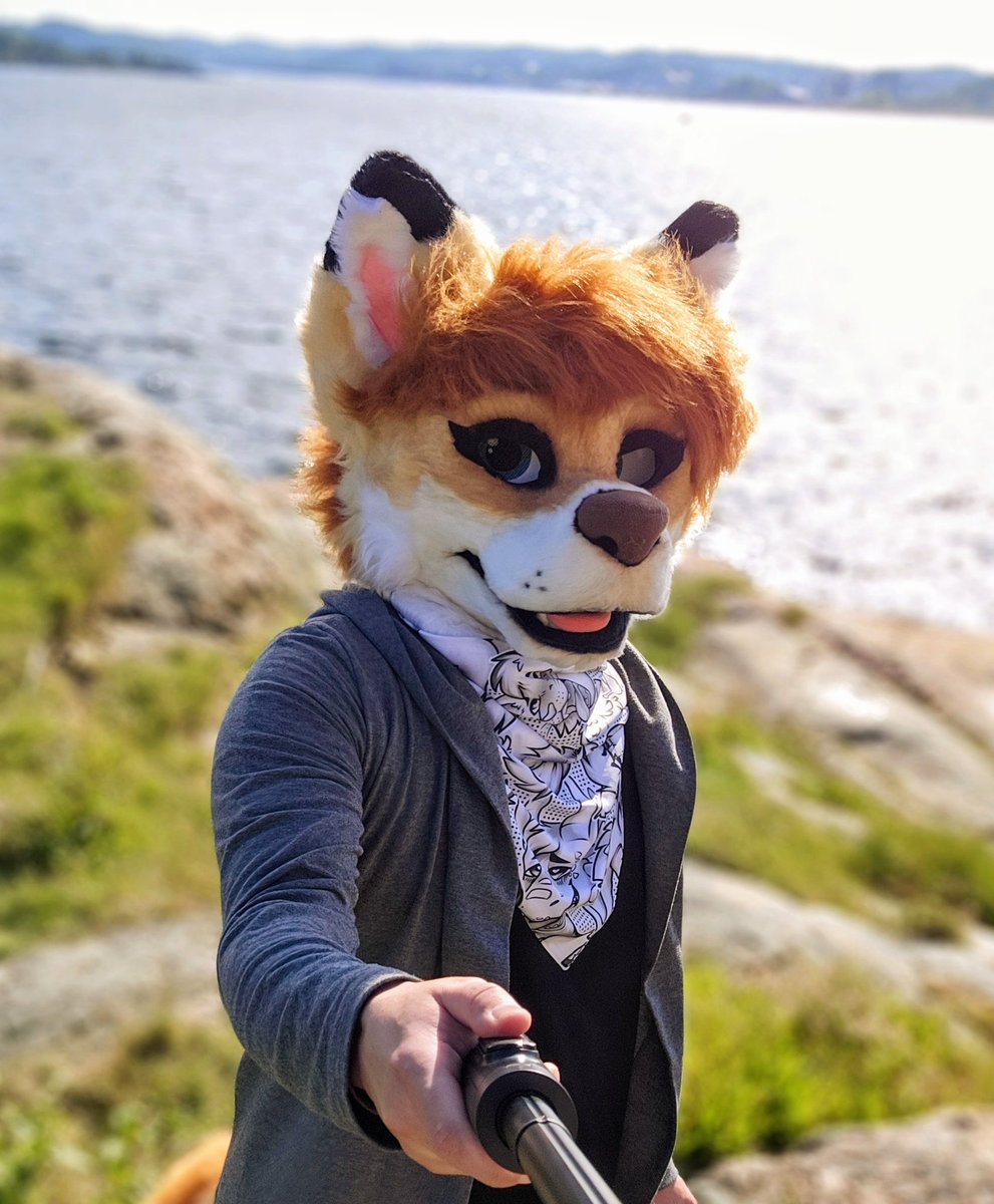 Enjoying Norway's 🇳🇴 beautiful coast! 
#FursuitFriday