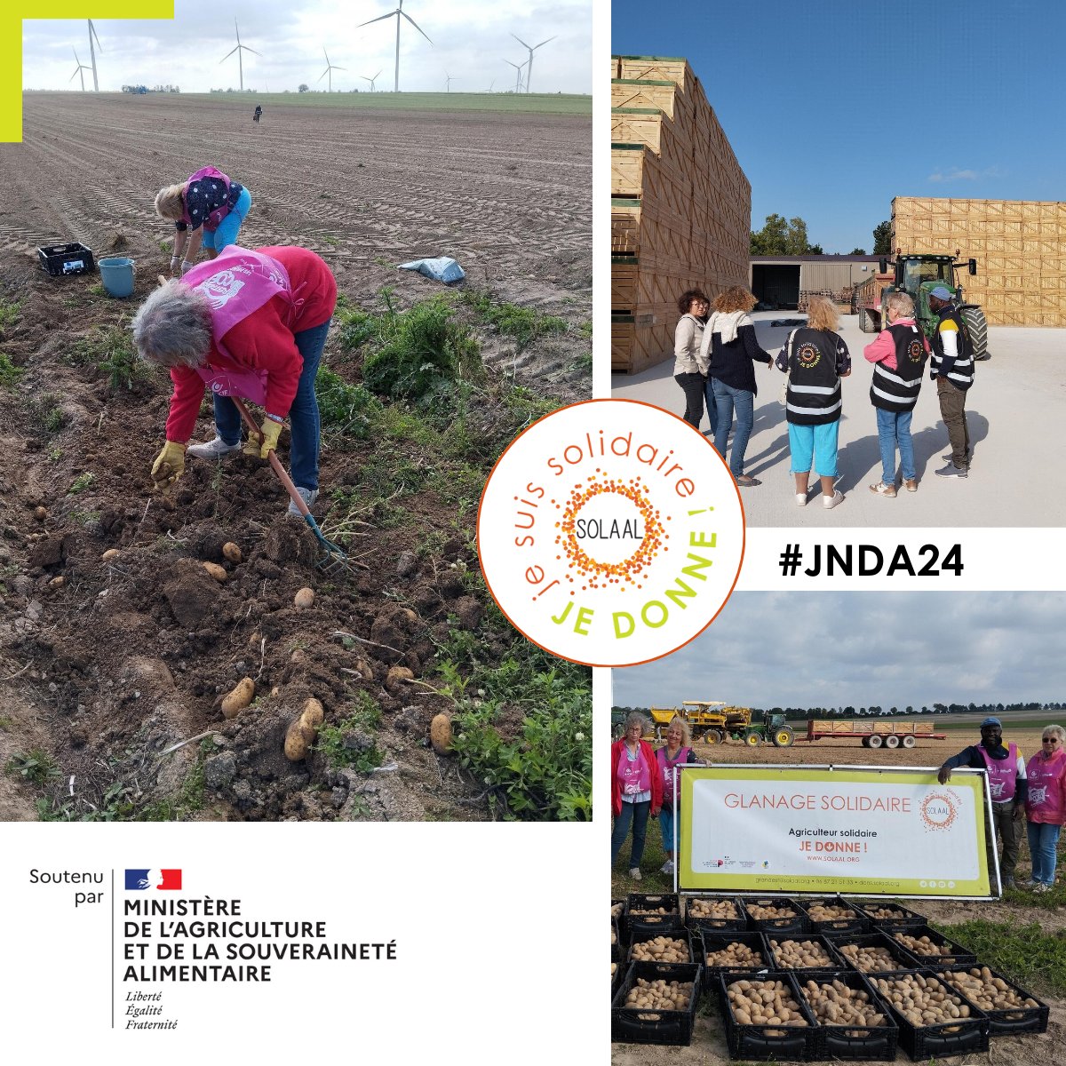 [#jnda24]
Ce mardi, rencontre avec les <a href="/restosducoeur/">Les Restos du Coeur</a> d'Arcis-sur-Aube💗
Au programme🌞
👉Visite d'exploitation🚜
👉Glanage de🥔BIO➡️4⃣0⃣0⃣ kg ramassés par 6⃣ bénévoles
🙏Merci Green Warriors et RG vallée pour l'accueil
#DonAgricole #jnda10ans #JNDA #solidarité <a href="/AubeDepartement/">Département de l'Aube</a>