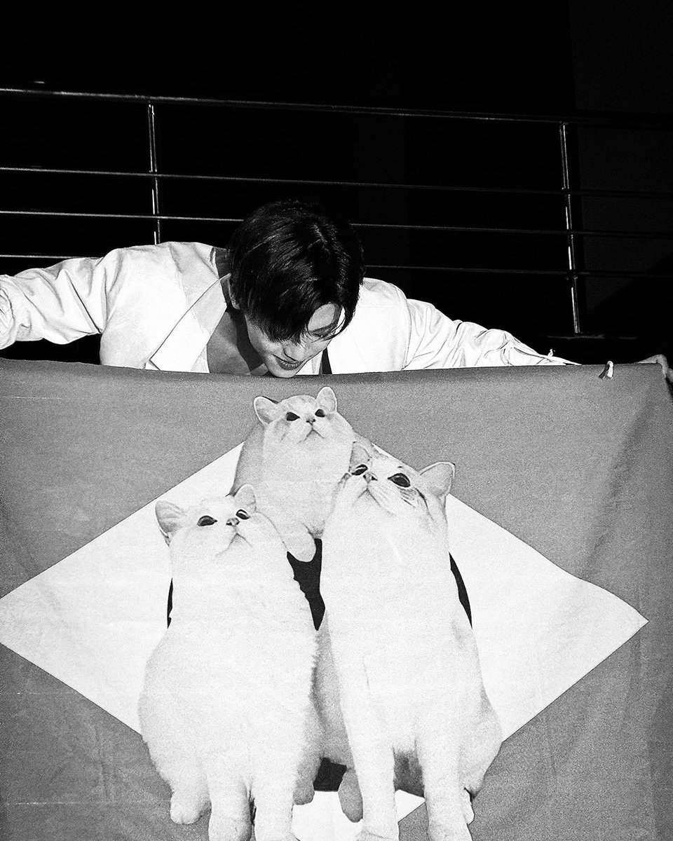 browsrer's tweet image. Brazil, you’ve got my heart! 🇧🇷 The energy is incredible and the colors are vibrant. Loving every moment here—can’t wait to explore more and make some unforgettable memories!