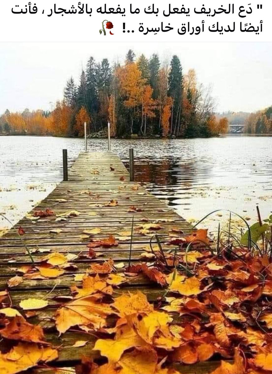 Shakespeariat's tweet image. دع الخريف