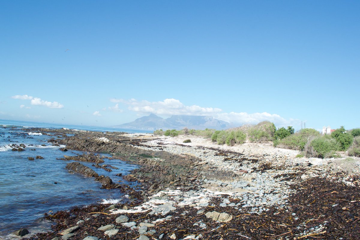 CTBig6's tweet image. 📜🇿🇦 This Tourism &amp;amp; Heritage Month, step into the past with a visit to @robben_island. Unearth powerful stories &amp;amp; witness the resilience of the human spirit at this UNESCO World Heritage Site.

Plan your adventure today with #CapeTownBig6 &amp;amp; be part of the legacy! #SAHeritage