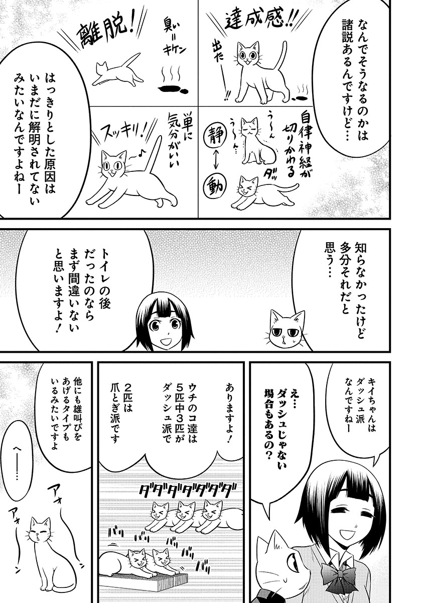 飼い猫のトイレハイに困惑する猫 3/3 