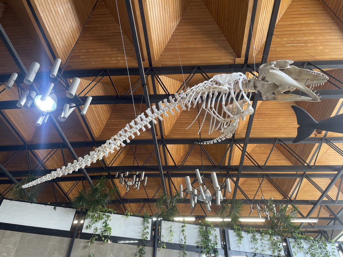 Universidad Granada tweet media