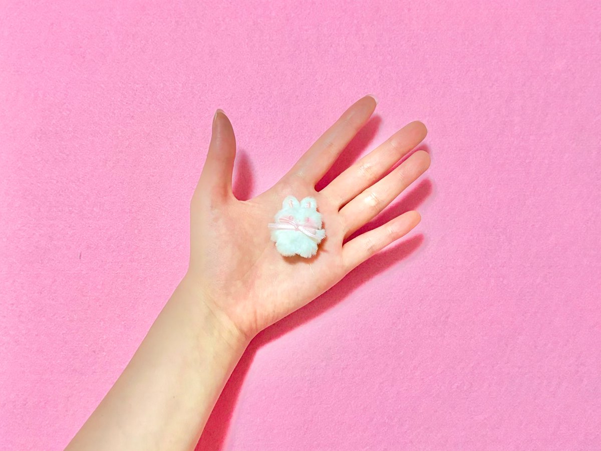 고솜도찌🦔 tweet media