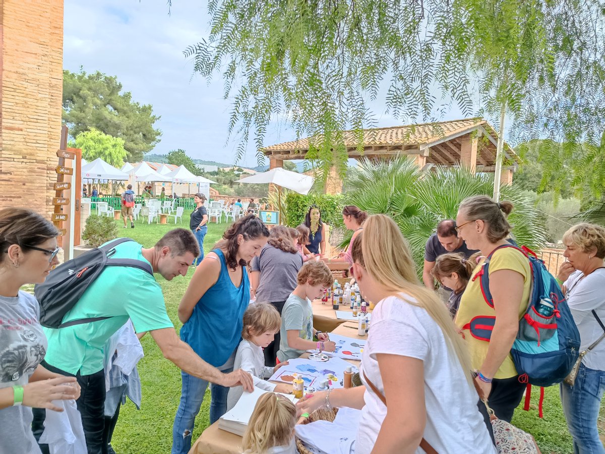 Masia d'en Cabanyes tweet media