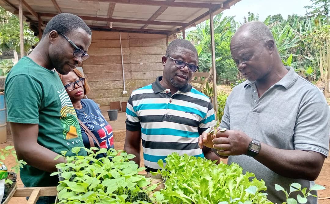 TechsheltaI's tweet image. Having the knowledge of plant life gives us a better understanding of how to grow plants to obtain maximum yield.

Our training participants having a session on this intricate phenomenon.

#TSTI #training #knowledge #plantlife #farming #gardening #agriculture #growth #yield