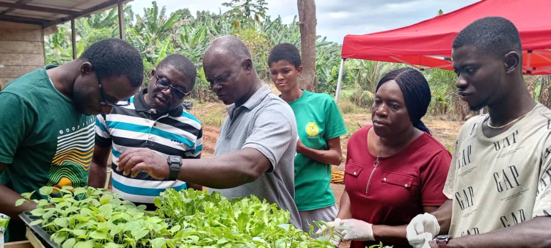 TechsheltaI's tweet image. Having the knowledge of plant life gives us a better understanding of how to grow plants to obtain maximum yield.

Our training participants having a session on this intricate phenomenon.

#TSTI #training #knowledge #plantlife #farming #gardening #agriculture #growth #yield