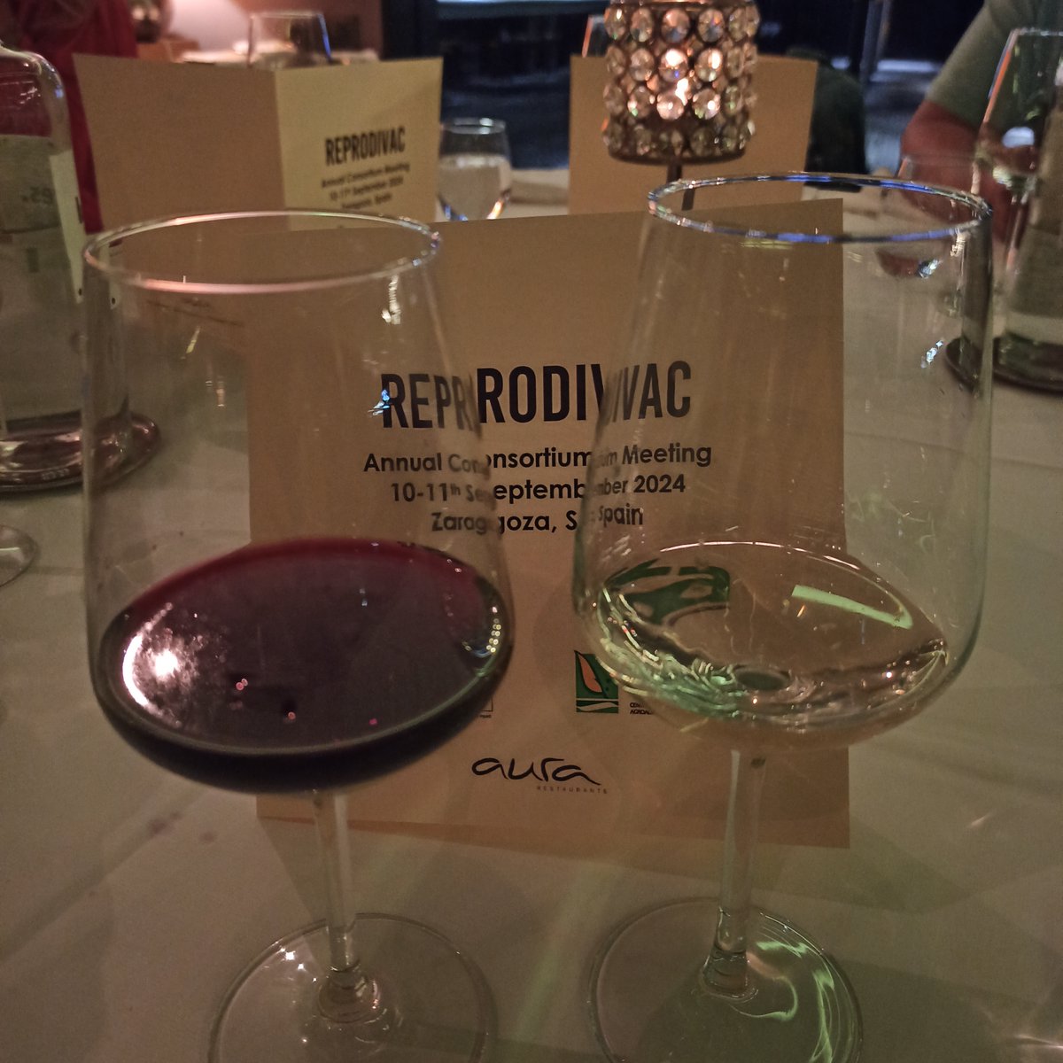 REPRODIVAC EU Project tweet media