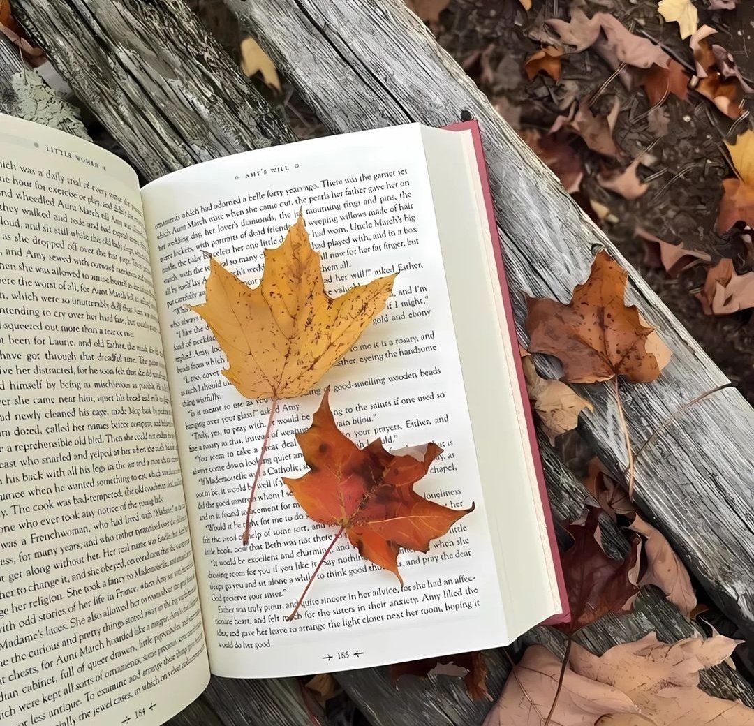 talya9646171863's tweet photo. october is coming 🟫🍁☔ https://t.co/pxtFxXYjvt