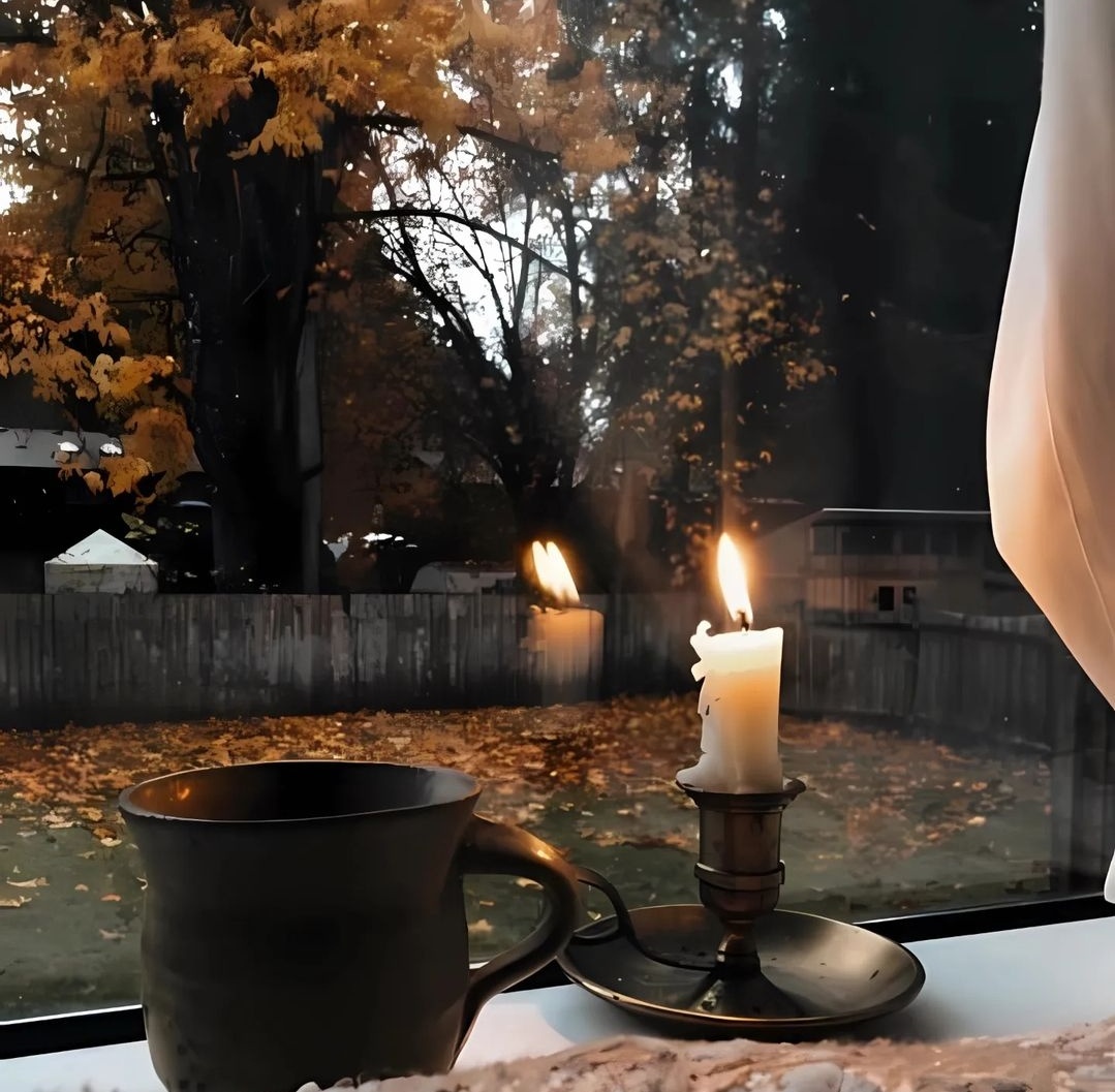 talya9646171863's tweet photo. october is coming 🟫🍁☔ https://t.co/pxtFxXYjvt