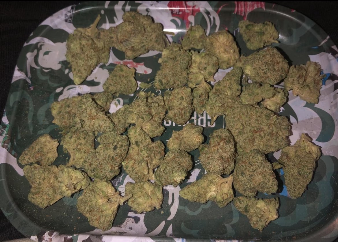 qtpack2's tweet image. When the checks come