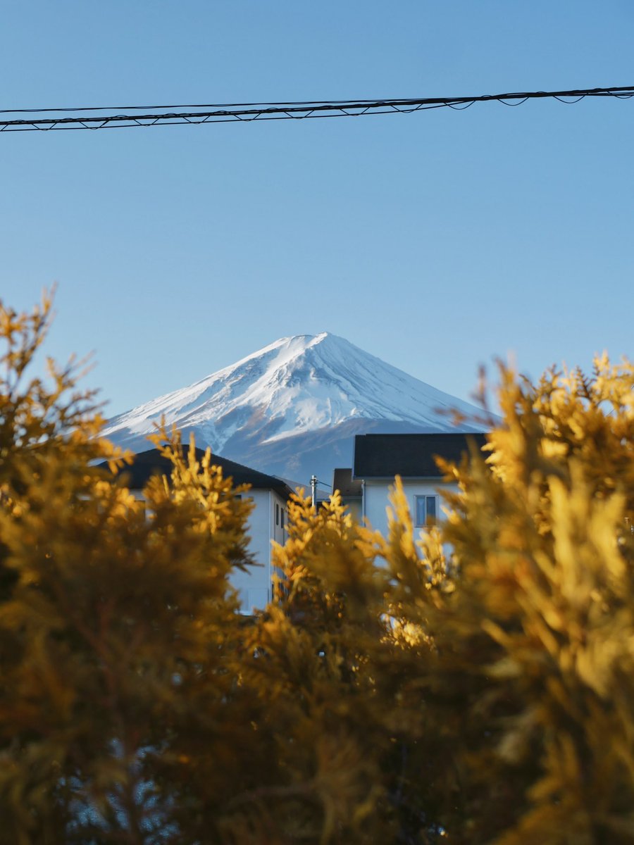 Branden Zavaleta tweet media