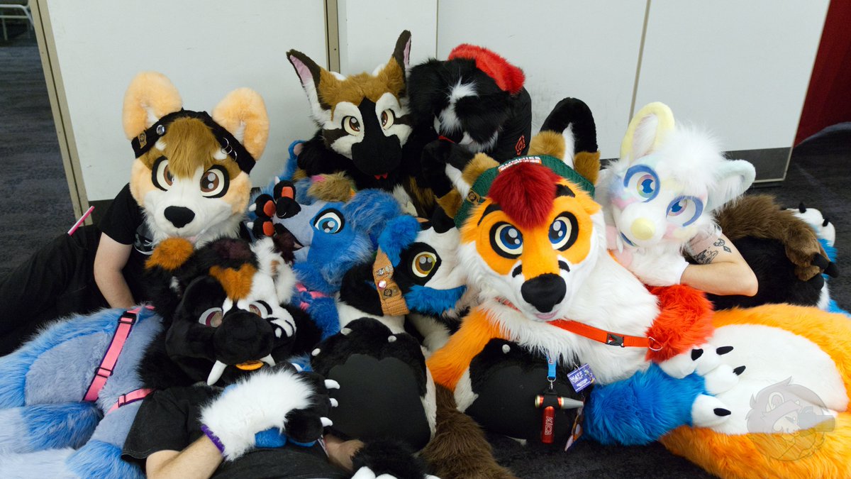 #waff is going well so far, big ol pile of fluff on the ground though. 
#FursuitFriday 
📷 Me