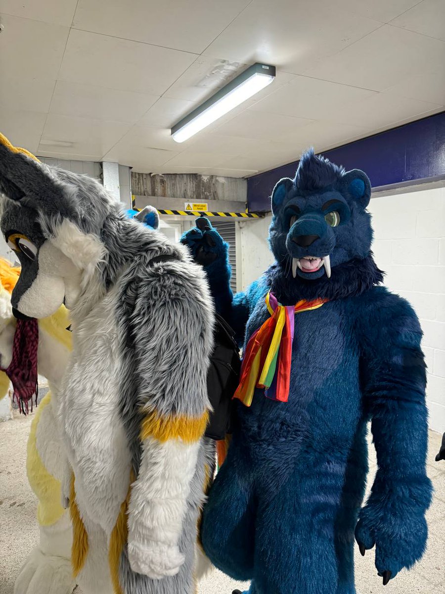 Seritus (@seritussabre) on Twitter photo "I've just had a bright idea!"
📸 <a href="/toralioger/">Rioichi Wolf Uzumakado 璃央一 渦門</a>
🐯 <a href="/tungro/">Tungro (aka Seritus)</a> as Seritus the Sabertooth tiger
🐶 @Statiksam as Farley
✂️ @madebymercury
📆 2024-08-31
🌍 Reading, UK
#FursuitFriday
#Furry
#Fursuit "I've just had a bright idea!"
📸 <a href="/toralioger/">Rioichi Wolf Uzumakado 璃央一 渦門</a>
🐯 <a href="/tungro/">Tungro (aka Seritus)</a> as Seritus the Sabertooth tiger
🐶 @Statiksam as Farley
✂️ @madebymercury
📆 2024-08-31
🌍 Reading, UK
#FursuitFriday
#Furry
#Fursuit