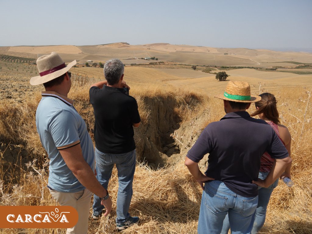 CarcavaProyecto's tweet photo. 🚁✨ Hoy hemos dado un importante con la visita a nuestra finca piloto en #FernánNúñez. Durante la jornada, el catedrático @fjmesas de la #ETSIAM realizó un vuelo con un #UAV equipado con tecnología #LiDAR, logrando capturar la red de #cárcavas a una resolución centimétrica. (+) https://t.co/0xcpjm4fjm