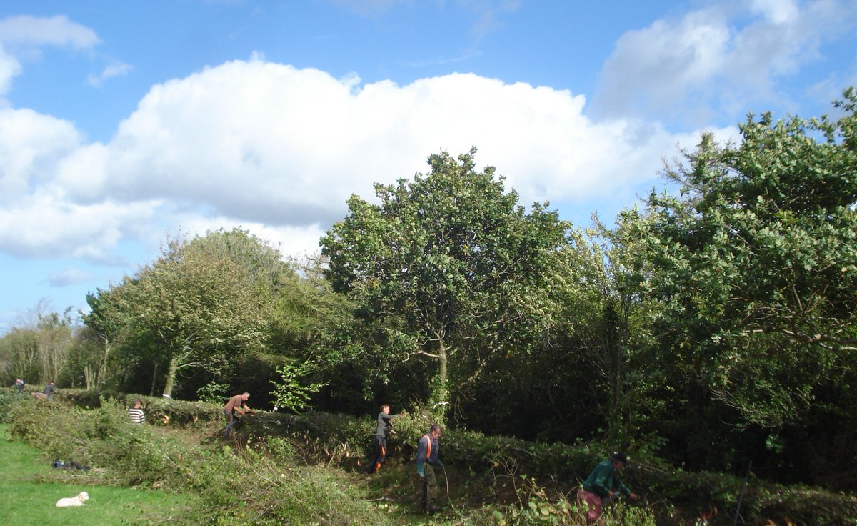 Chris Baker tweet media