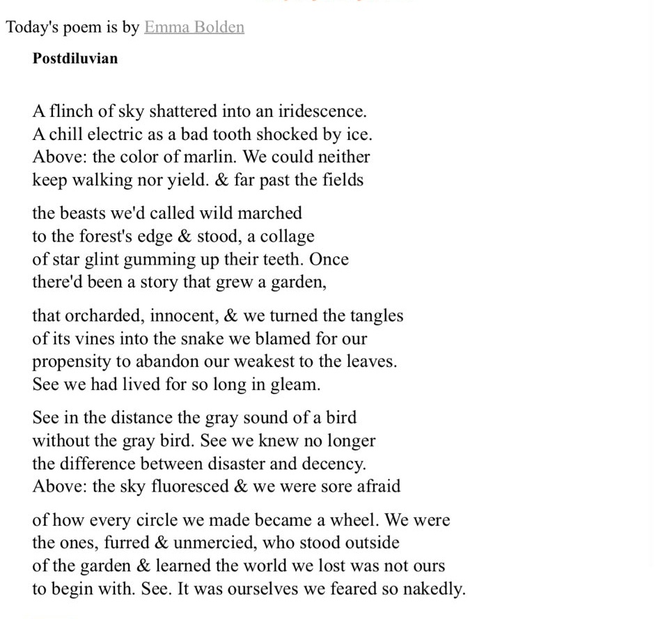 Vikki C. (@vwc_writes) on Twitter photo This beautiful poem
“Postdiluvian” by Emma Bolden <a href="/emmabo/">Emma Bolden</a> in <a href="/versedailypoems/">Verse Daily (@versedaily.bsky.social)</a> –
originally published in Asheville Poetry Review ❤️
#twentyforecopoetry @twentyecopoetry #ecopoetry #ecopoem #WritingCommunity This beautiful poem
“Postdiluvian” by Emma Bolden <a href="/emmabo/">Emma Bolden</a> in <a href="/versedailypoems/">Verse Daily (@versedaily.bsky.social)</a> –
originally published in Asheville Poetry Review ❤️
#twentyforecopoetry @twentyecopoetry #ecopoetry #ecopoem #WritingCommunity