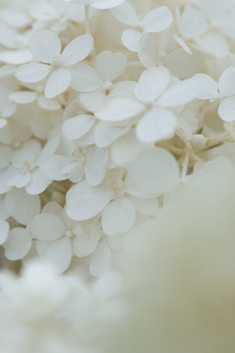 akimoto_0109's tweet image. 