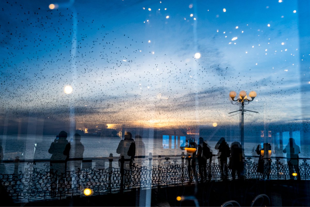 Fleeting scenes across Brighton, with a sense of impermanence. Not all Brighton though, the bubbles shot was made in Münsterplatz, Freiburg im Breisgau.
