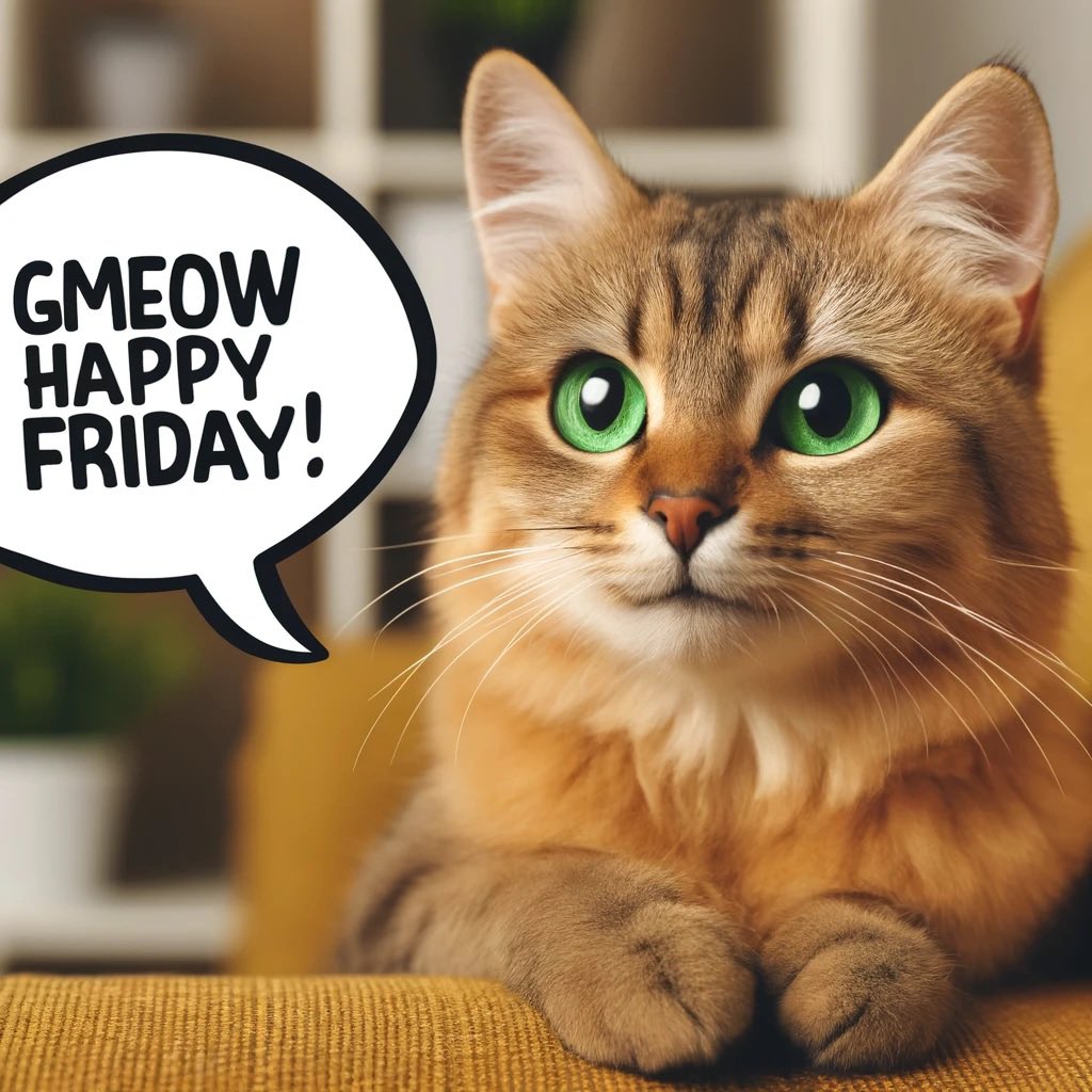 #GMEOW from $TIGRA