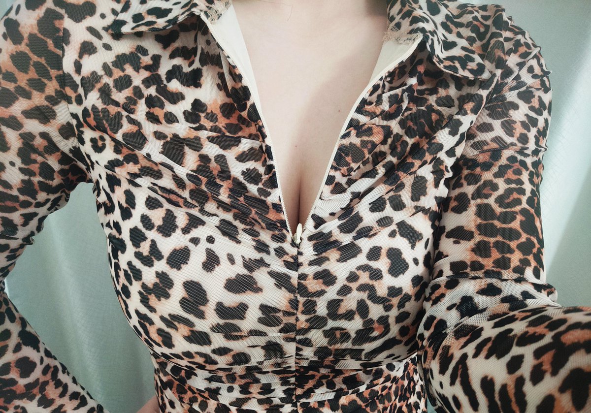 前几天买的豹纹上衣