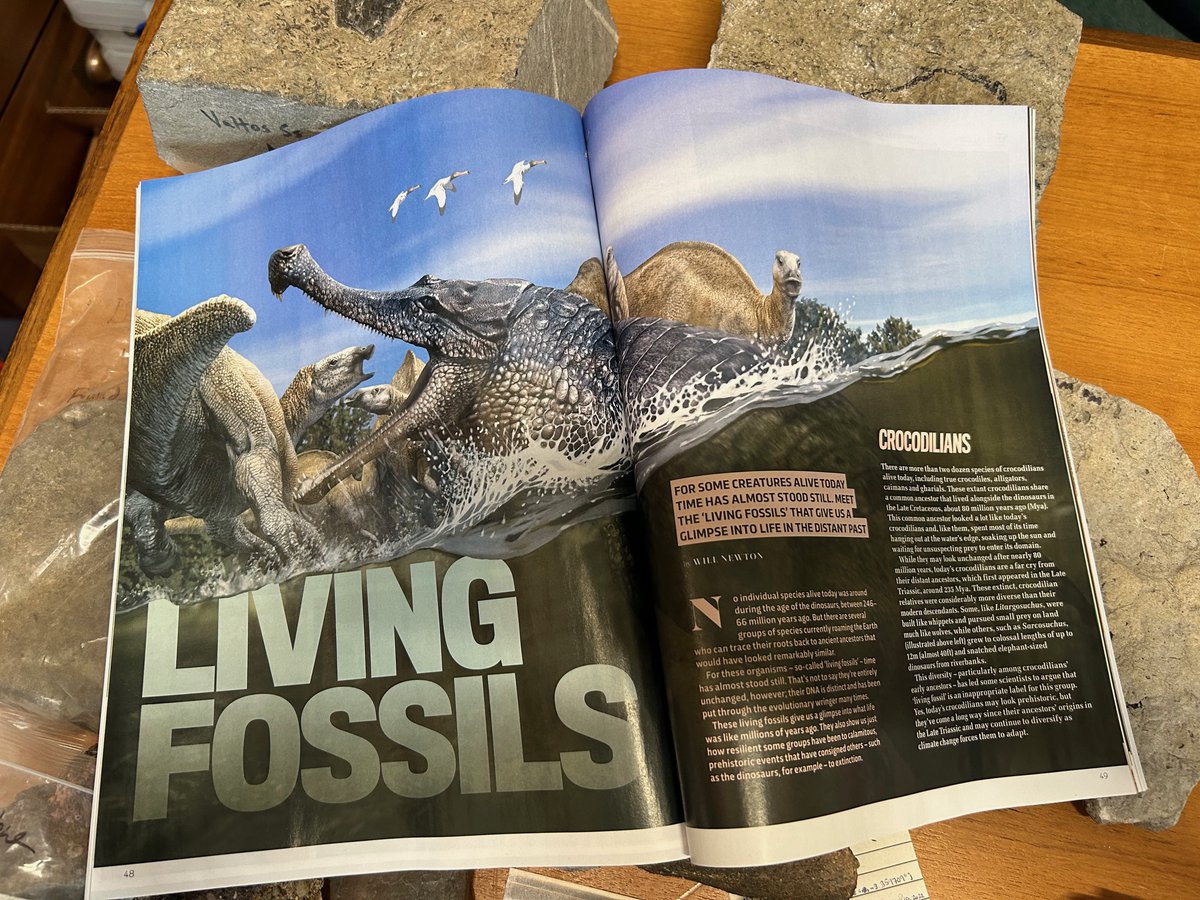 Steve Brusatte (@stevebrusatte) on Twitter photo Crack open the latest issue of <a href="/sciencefocus/">BBC Science Focus Magazine</a> and check out this lively feature on Living Fossils, from our <a href="/GeosciencesEd/">School of GeoSciences @ University of Edinburgh</a> alum <a href="/InsidePeloton96/">Will Newton</a>!
Nice work from Will, already a talented sports writer, now an up-and-coming science writer as a side gig during his PhD. #fossilfriday Crack open the latest issue of <a href="/sciencefocus/">BBC Science Focus Magazine</a> and check out this lively feature on Living Fossils, from our <a href="/GeosciencesEd/">School of GeoSciences @ University of Edinburgh</a> alum <a href="/InsidePeloton96/">Will Newton</a>!
Nice work from Will, already a talented sports writer, now an up-and-coming science writer as a side gig during his PhD. #fossilfriday