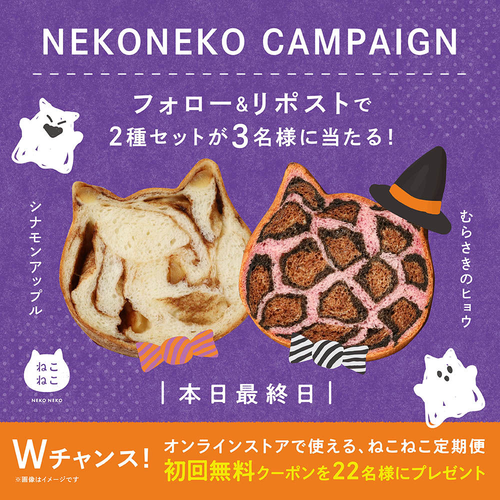 ねこねこ商品 暑い夏もねこねこと一緒に乗り越えよう！】ねこねこグッズのご紹介