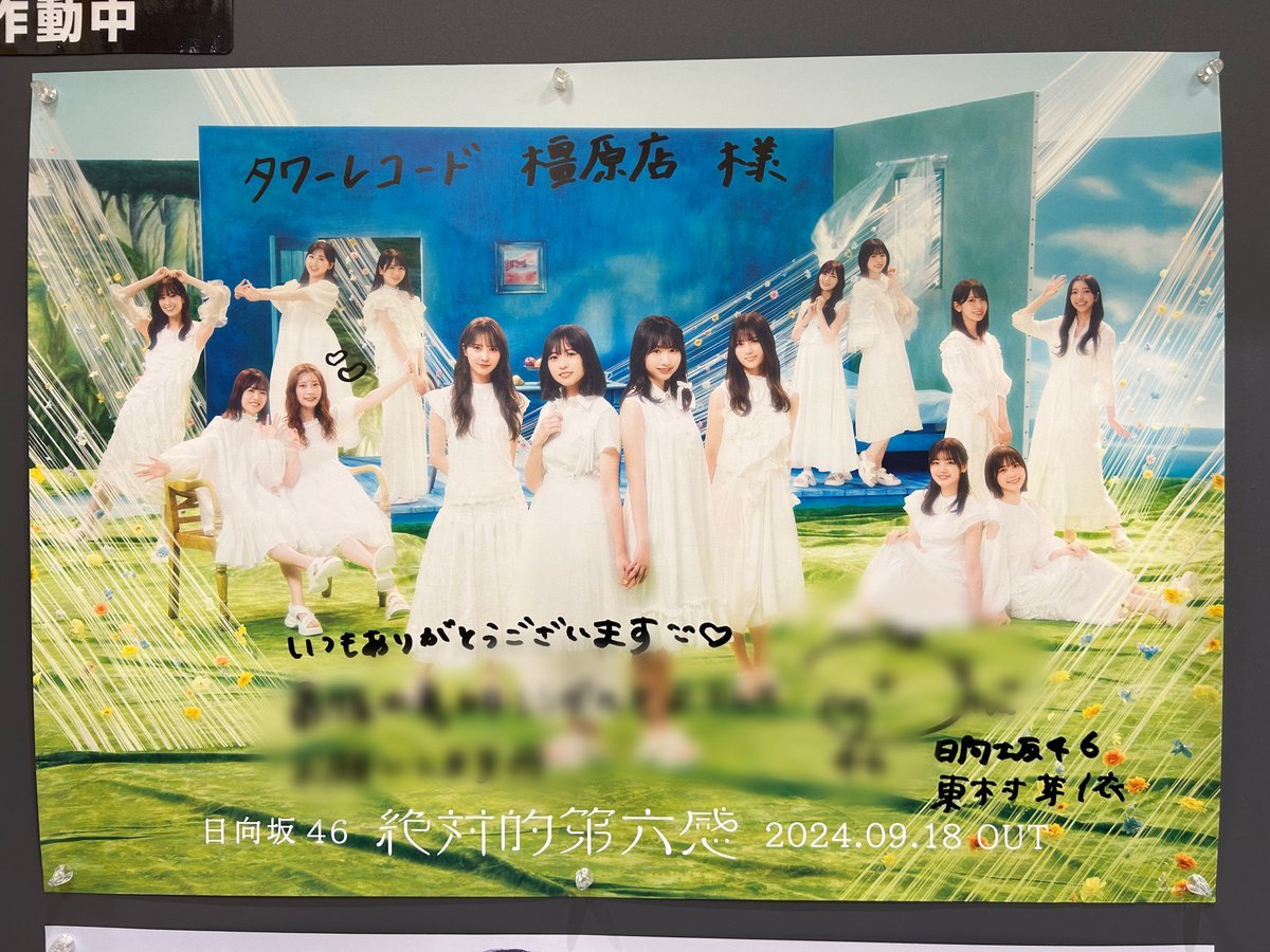 東村芽依（#日向坂46）】 ／ #橿原店は東村芽依ちゃん全力応援🐈✧ #俺