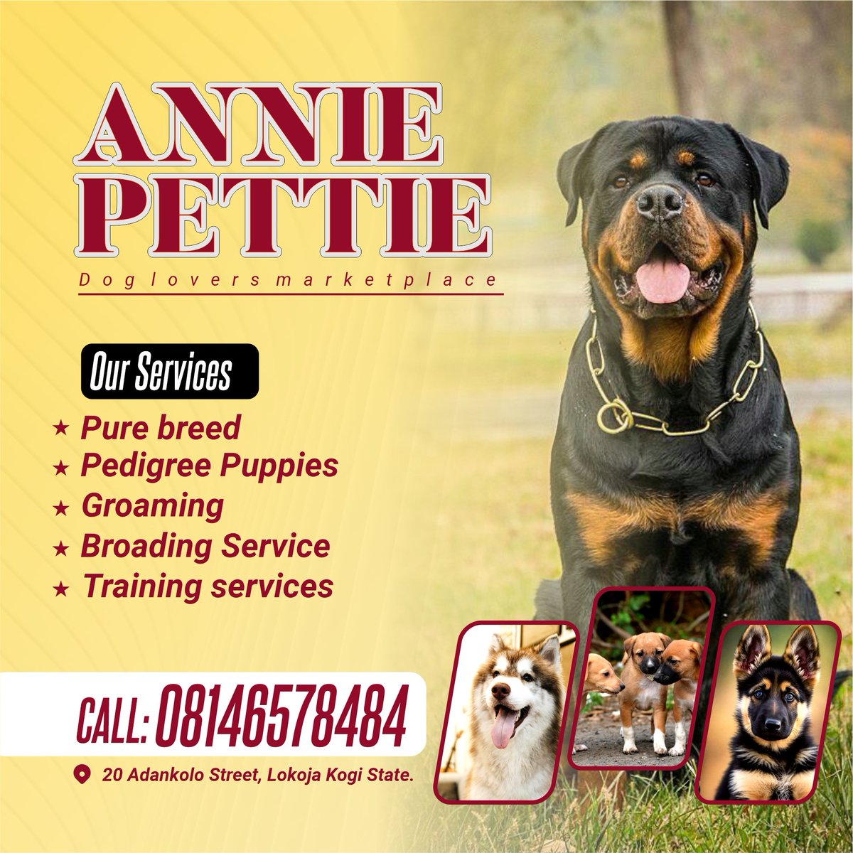 JOBBLESSED2's tweet image. social  media design projects  I worked on..

Meanwhile, If you&apos;re looking for a seasoned designer that will communicate what you have in mind through visuals, I am the best person for you/brand.

Dm let&apos;s create awesomeness together ❤