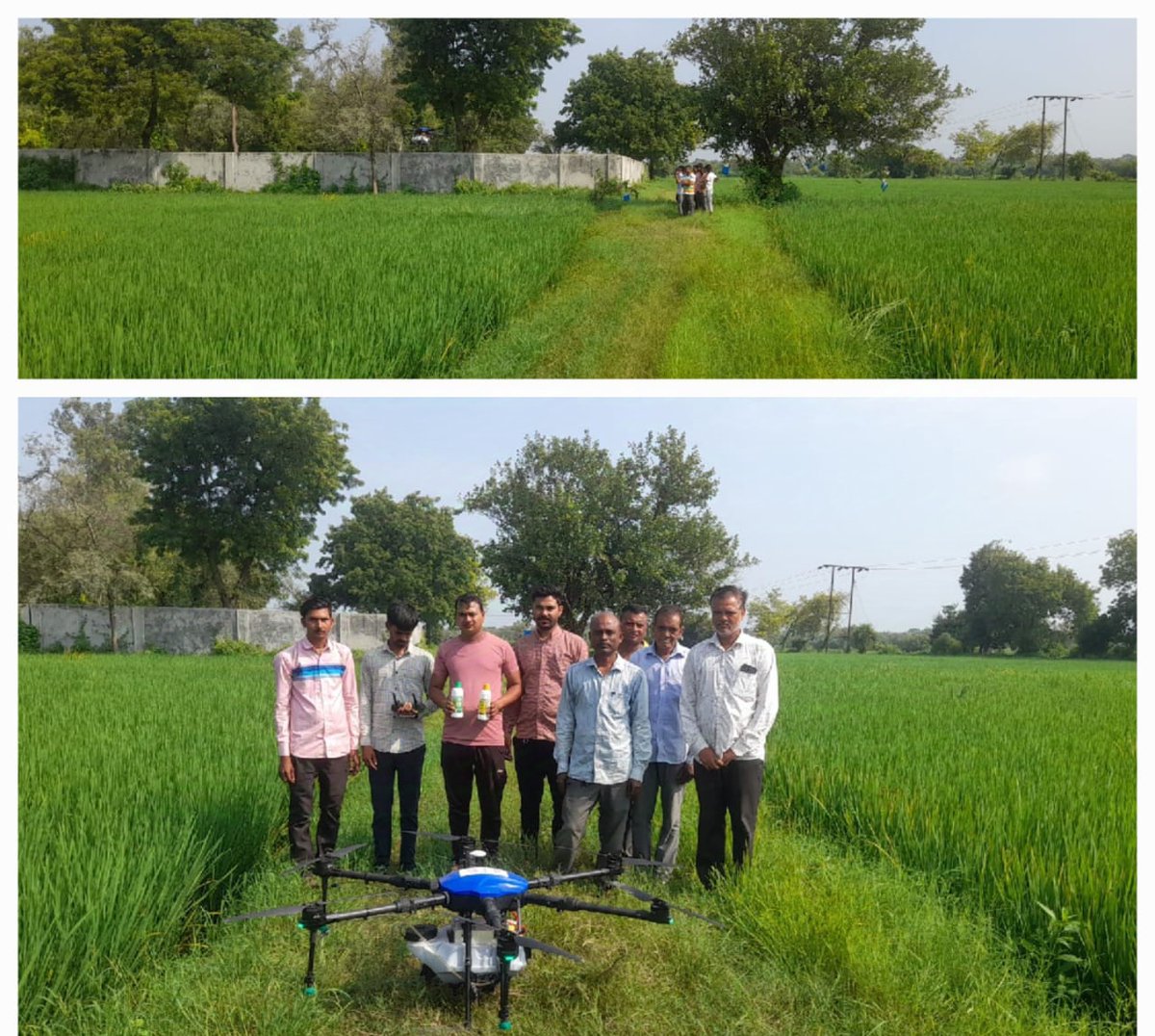 માતર તાલુકાના લીંબાસી ગામમાં ડાંગર પાકમાં ડ્રોન દ્વારા  નેનો ફર્ટિલાઈઝરનો છંટકાવ કરવામાં આવ્યો.<a href="/DDO_Kheda/">DDO KHEDA</a> <a href="/infokhedagog/">Info Kheda GoG</a> <a href="/collectorkheda/">Collector Kheda</a>