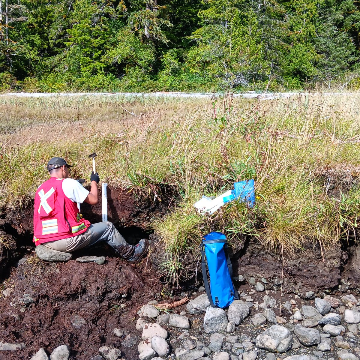 Stunning weather on #VancouverIsland during our fieldtrip! We hope to be able to decipher #sealevel history and recurrence of #tsunamis in the region. Thanks to <a href="/SFUCoastalHaz/">Jessica Pilarczyk</a> for making this unique trip possible! #Cascadia #fieldwork