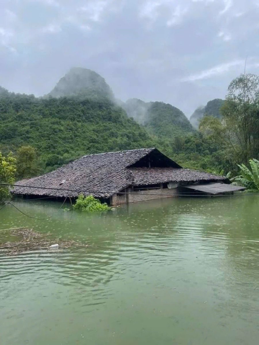 Canada has allocated a total of CAD560,000 in humanitarian assistance to provide immediate relief to individuals, families and communities impacted by the devastation of Typhoon Yagi in Northern Vietnam. This assistance includes: 
1/4