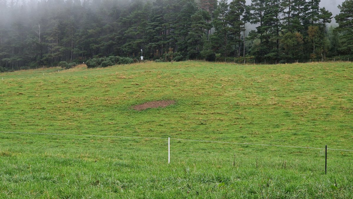 Edinvale Farm 🌱🐂 tweet media