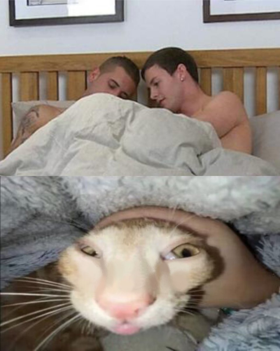 #tmnt #tmnt2012 
兄弟看看你的！
【又在改梗图】