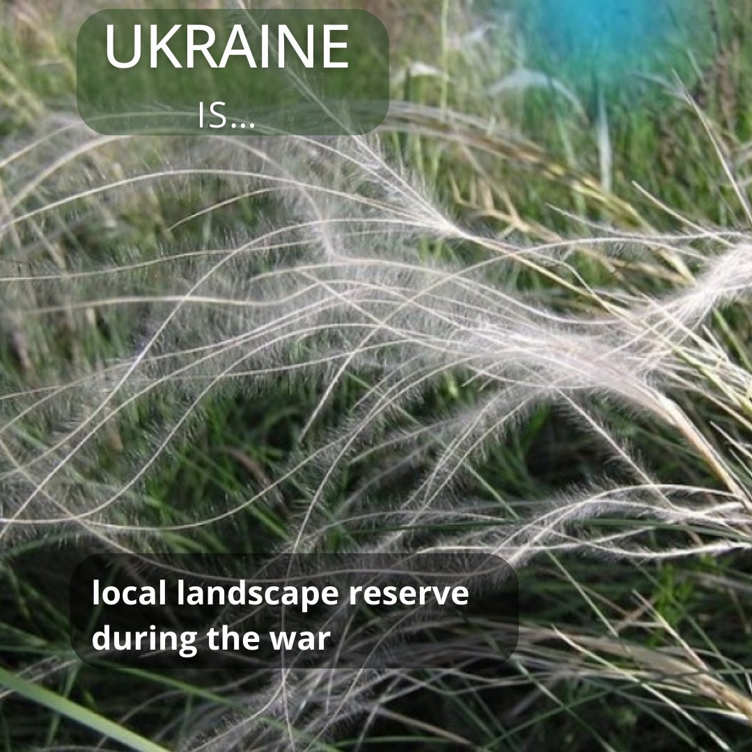 🇺🇦Ukraine is about the creation of a local landscape reserve during the war - the Khrestyschensky Hills in Donetsk region.
The area demonstrates one of the few well-preserved, untouched landscapes of steppe river valleys with characteristic floodplain meadows.
 #Ukraine #Donetsk