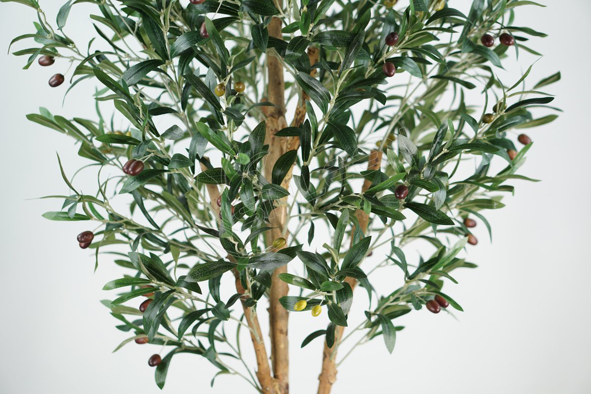 HarperZeng23982's tweet image. ARTIFICIAL OLIVE TREE
Our new style olive tree~
It is made with real trunk, leading to highly realistic.
#artificialolivetree #artificialtree #homedecor #homeaccessories #artificialplants