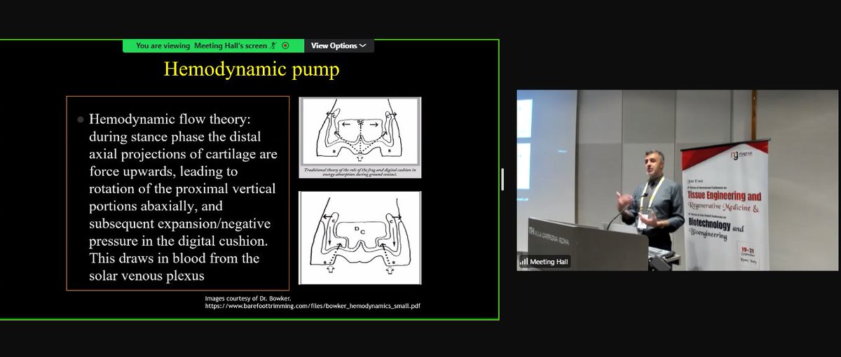 TERMCevent's tweet photo. Join us at the @TERMCevent, presented by @Magnus_group!
We are excited to feature #BabakFaramarzi from Western University of Health
Sciences, USA, presenting a keynote talk:Pressure plate analysis in musculoskeletal injuries: An overview
#TERMC2024 #tisueengineering https://t.co/2kfZinQtGQ