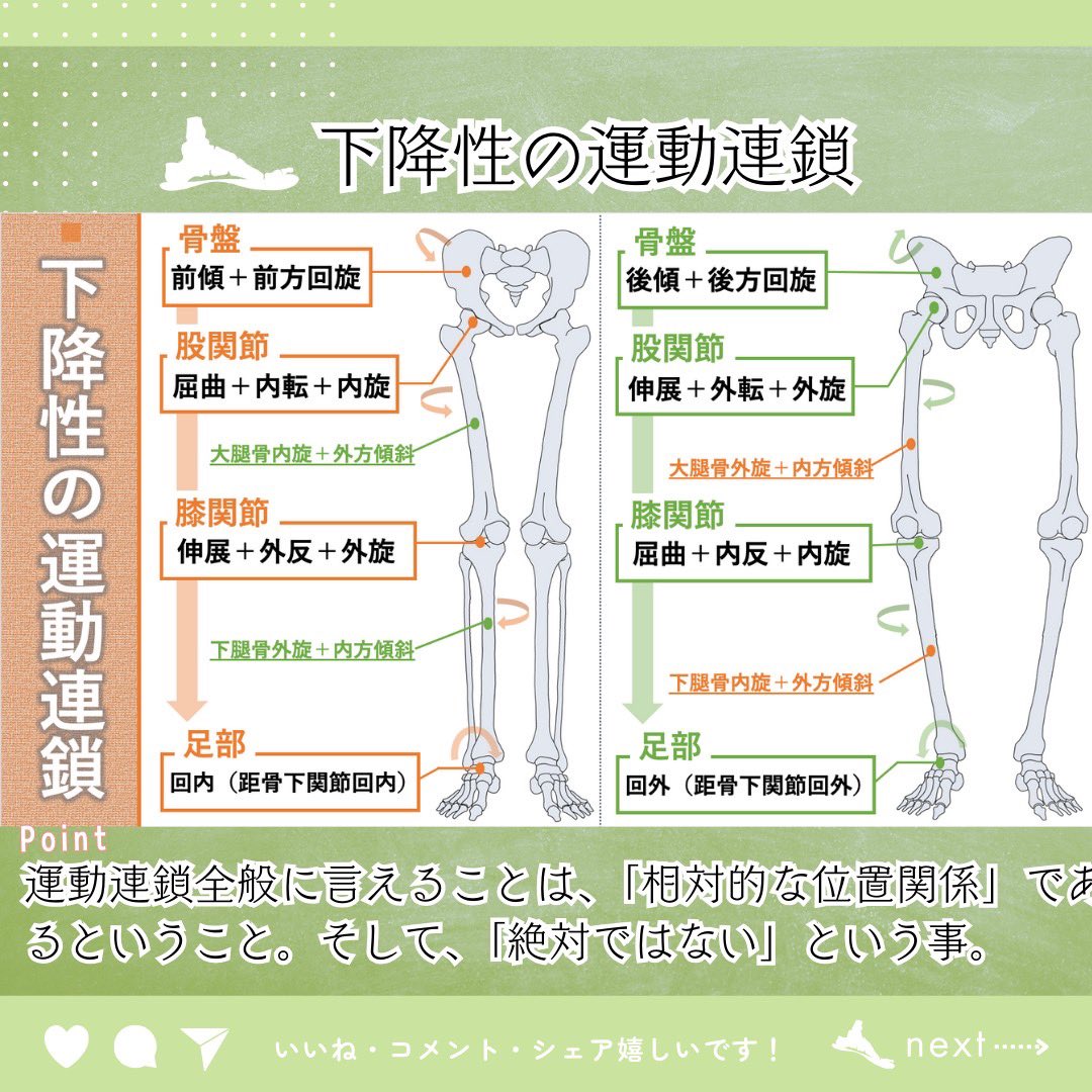 oshiroakito's tweet photo. 運動連鎖ってなによ🦶？

・相対的位置関係である
・数値で表された研究はない
・解剖学的、機能的な連鎖がある
・絶対この通りにいかない

↑が大前提の臨床ツールです。

囚われすぎもよくないですが、
個人的には好きな推論です🦶

#理学療法士
#Instagramもみてね
#残りはリプ欄へ
#作図が疲れた https://t.co/5SgX42Lu0a