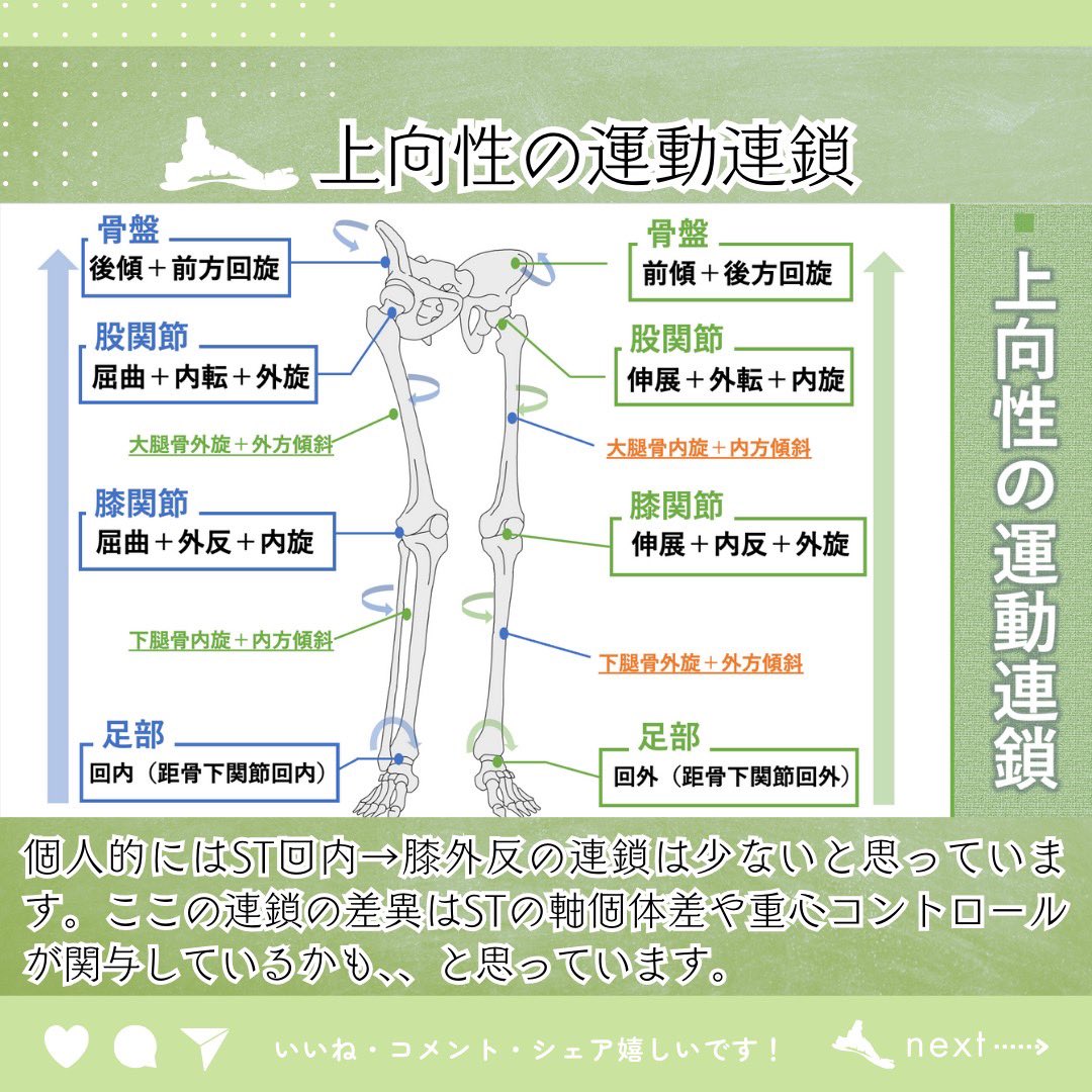 oshiroakito's tweet photo. 運動連鎖ってなによ🦶？

・相対的位置関係である
・数値で表された研究はない
・解剖学的、機能的な連鎖がある
・絶対この通りにいかない

↑が大前提の臨床ツールです。

囚われすぎもよくないですが、
個人的には好きな推論です🦶

#理学療法士
#Instagramもみてね
#残りはリプ欄へ
#作図が疲れた https://t.co/5SgX42Lu0a