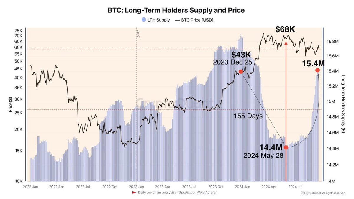 BTC 장기 투자자 보유 비트코인 증가