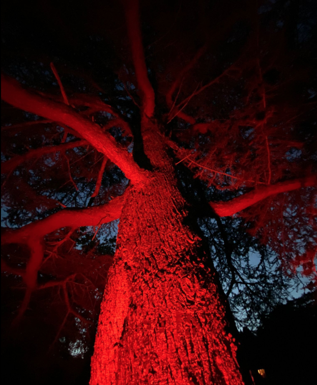 🎃Halloween Fun on Oct 31 &amp; Nov 2🎃
This is a family-friendly event 👻 fancy dress, pumpkin trail &amp; craft tent. The house &amp; gardens will be lit up at dusk. Hot food will be available from our Shepherd's Hut. 🐕 🐕 welcome
stokesaycourt.com/whats-on
#Shropshire #Ludlow