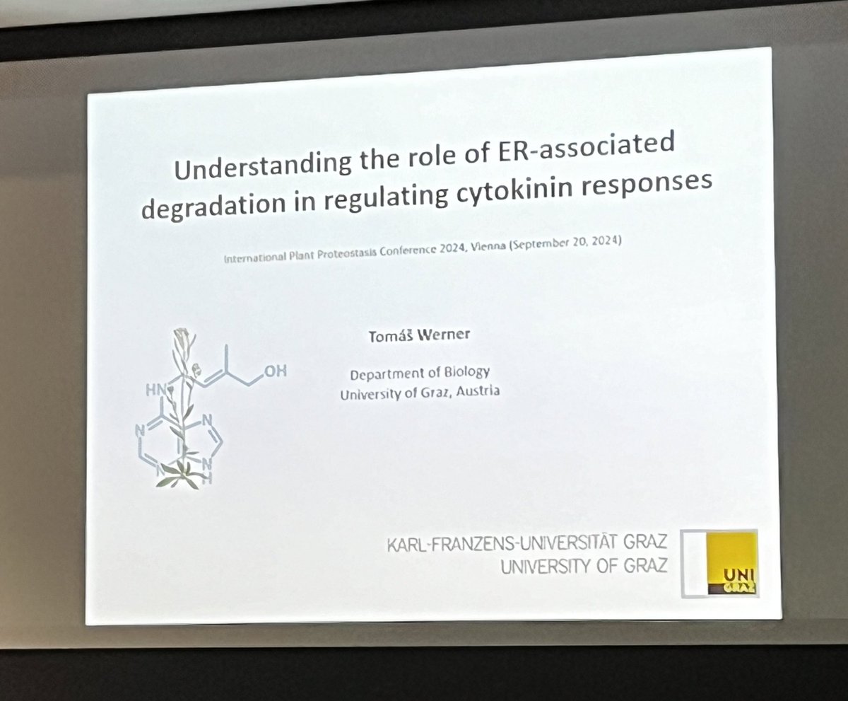 PlantoPhagy's tweet photo. Tomas Werner contβing the #ERAD theme linking it to cytokinin responses #IPPC24 https://t.co/14qAYkuOXQ